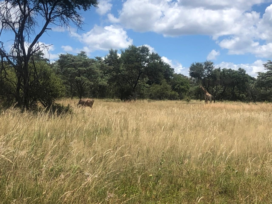 Commercial Property for Sale in Modimolle Rural Limpopo