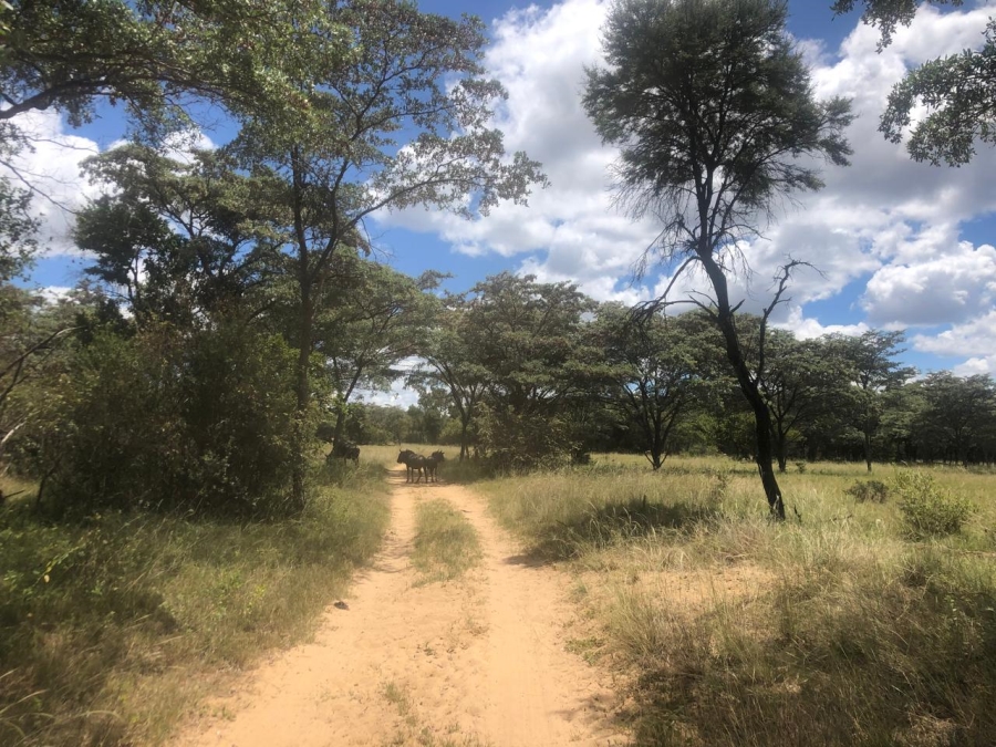Commercial Property for Sale in Modimolle Rural Limpopo