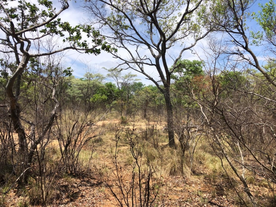 Commercial Property for Sale in Modimolle Rural Limpopo