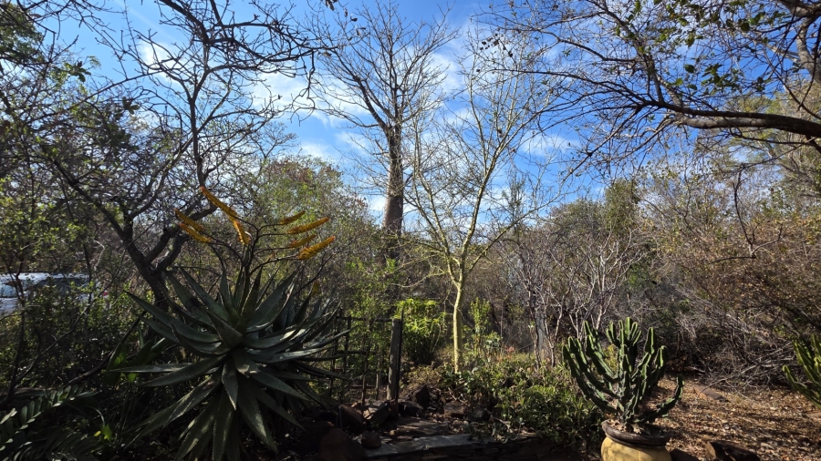 3 Bedroom Property for Sale in Verloren Estate Limpopo