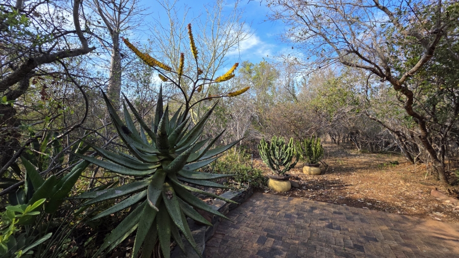 3 Bedroom Property for Sale in Verloren Estate Limpopo