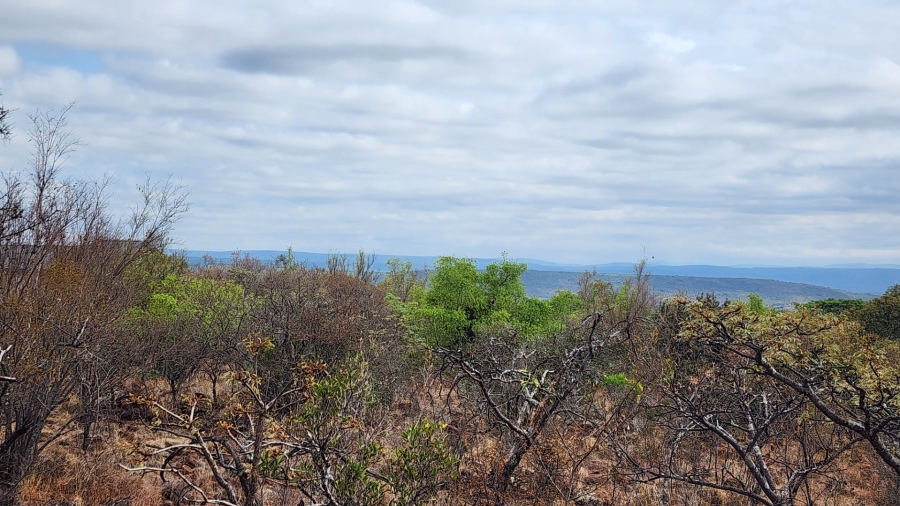 Commercial Property for Sale in Verloren Estate Limpopo