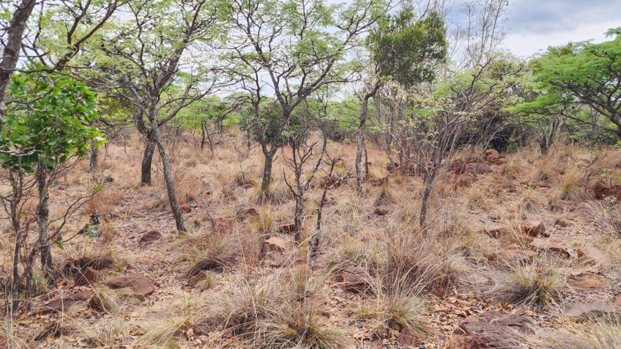 Commercial Property for Sale in Verloren Estate Limpopo