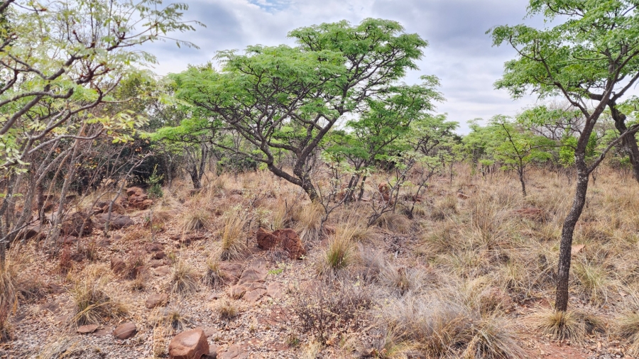 Commercial Property for Sale in Verloren Estate Limpopo