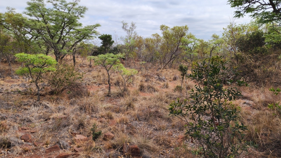 Commercial Property for Sale in Verloren Estate Limpopo