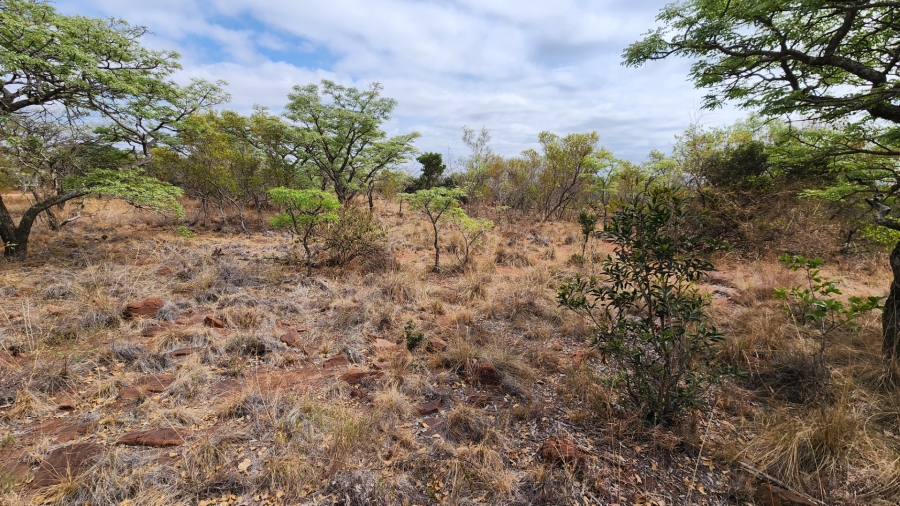 Commercial Property for Sale in Verloren Estate Limpopo