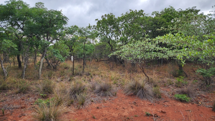 Commercial Property for Sale in Verloren Estate Limpopo