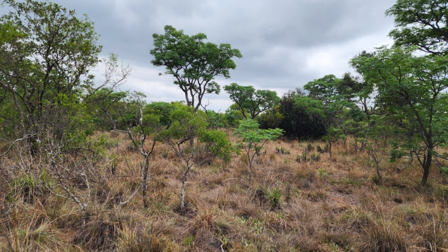 Commercial Property for Sale in Verloren Estate Limpopo