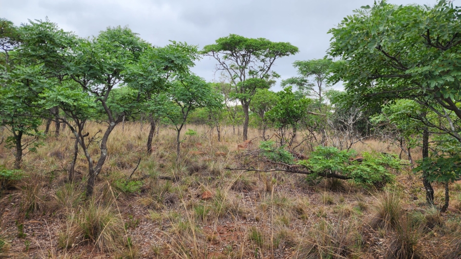 Commercial Property for Sale in Verloren Estate Limpopo