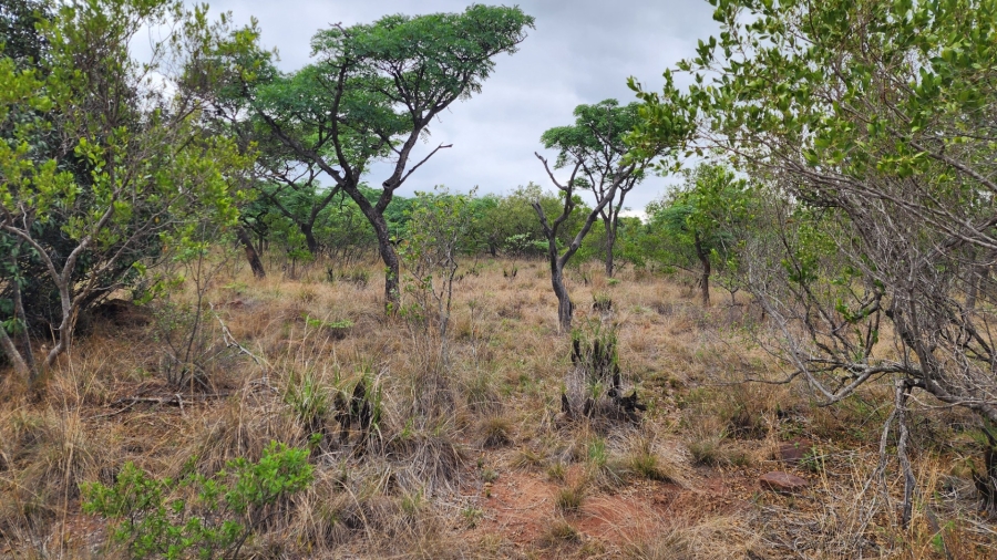 Commercial Property for Sale in Verloren Estate Limpopo