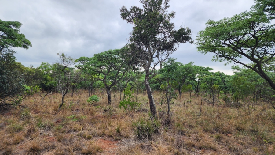 Commercial Property for Sale in Verloren Estate Limpopo