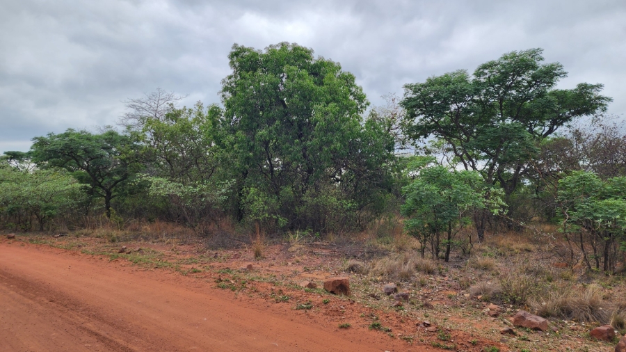Commercial Property for Sale in Verloren Estate Limpopo