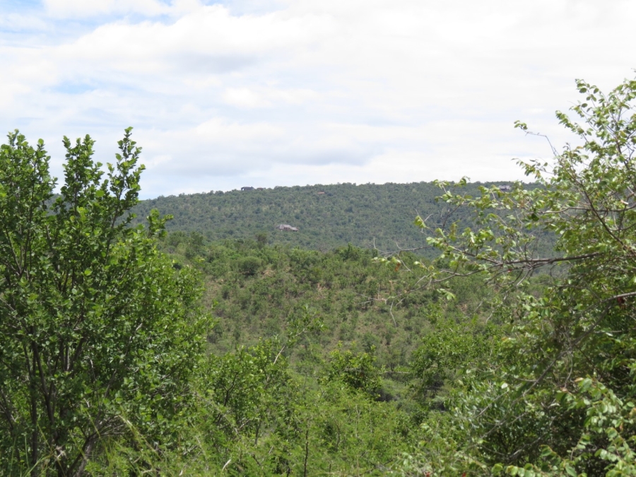 Commercial Property for Sale in Zwartkloof Private Game Reserve Limpopo