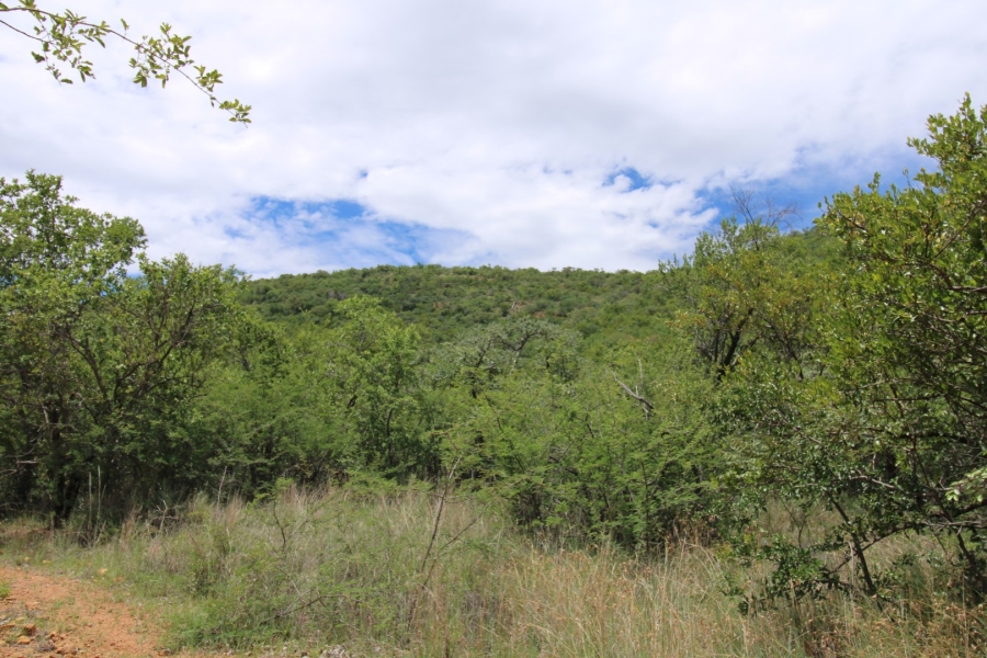 Commercial Property for Sale in Zwartkloof Private Game Reserve Limpopo