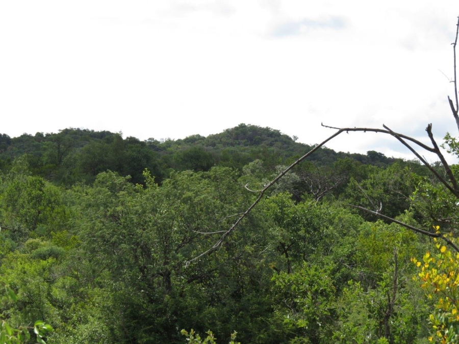 Commercial Property for Sale in Zwartkloof Private Game Reserve Limpopo