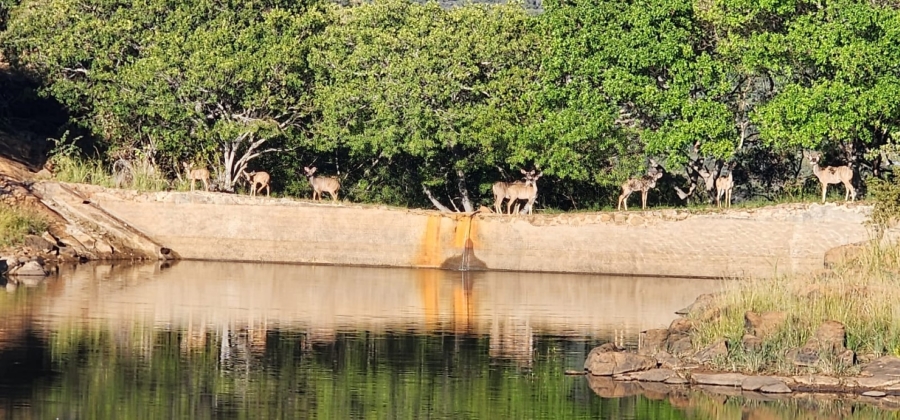 Commercial Property for Sale in Zwartkloof Private Game Reserve Limpopo