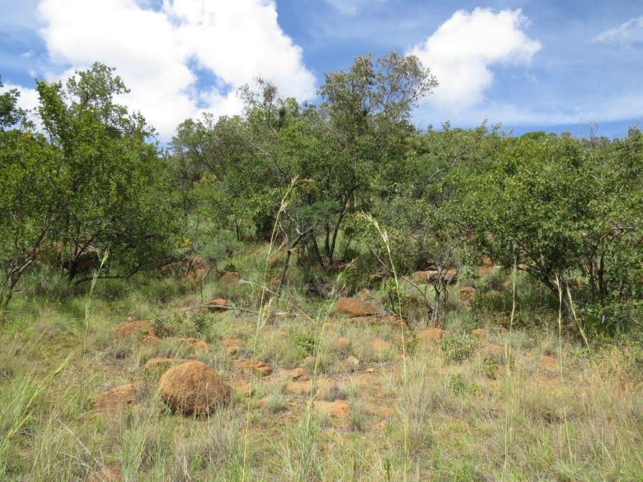 Commercial Property for Sale in Zwartkloof Private Game Reserve Limpopo