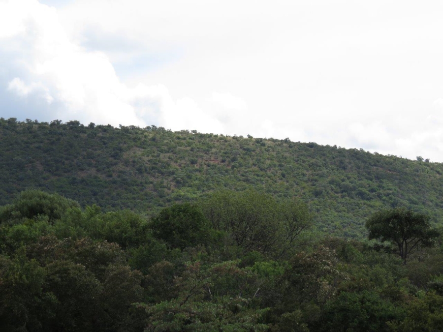 Commercial Property for Sale in Zwartkloof Private Game Reserve Limpopo
