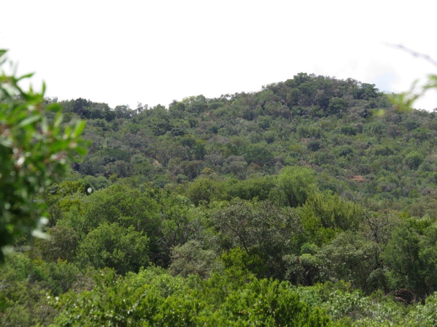 Commercial Property for Sale in Zwartkloof Private Game Reserve Limpopo