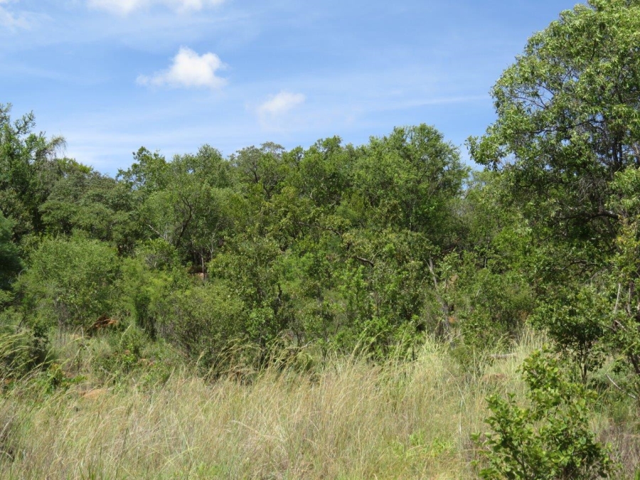 Commercial Property for Sale in Zwartkloof Private Game Reserve Limpopo
