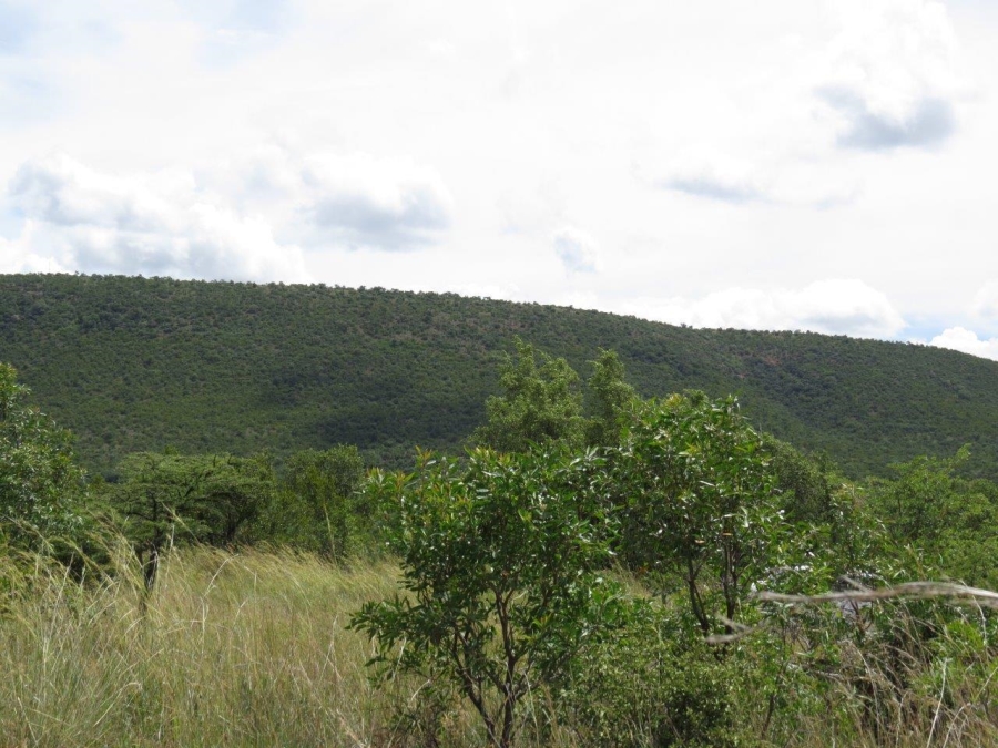 Commercial Property for Sale in Zwartkloof Private Game Reserve Limpopo