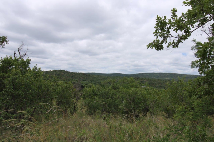 Commercial Property for Sale in Zwartkloof Private Game Reserve Limpopo