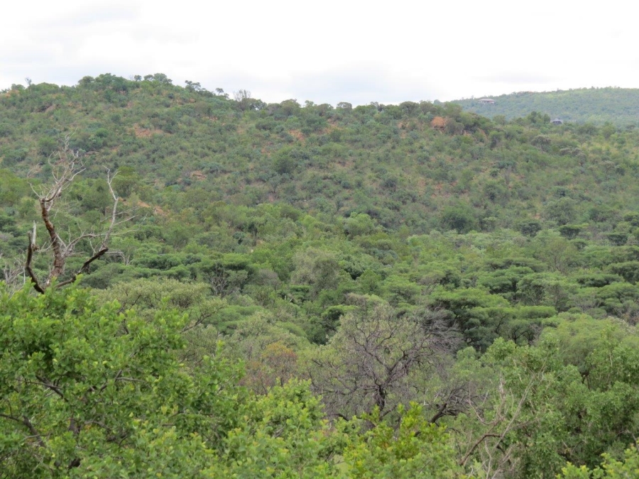 Commercial Property for Sale in Zwartkloof Private Game Reserve Limpopo