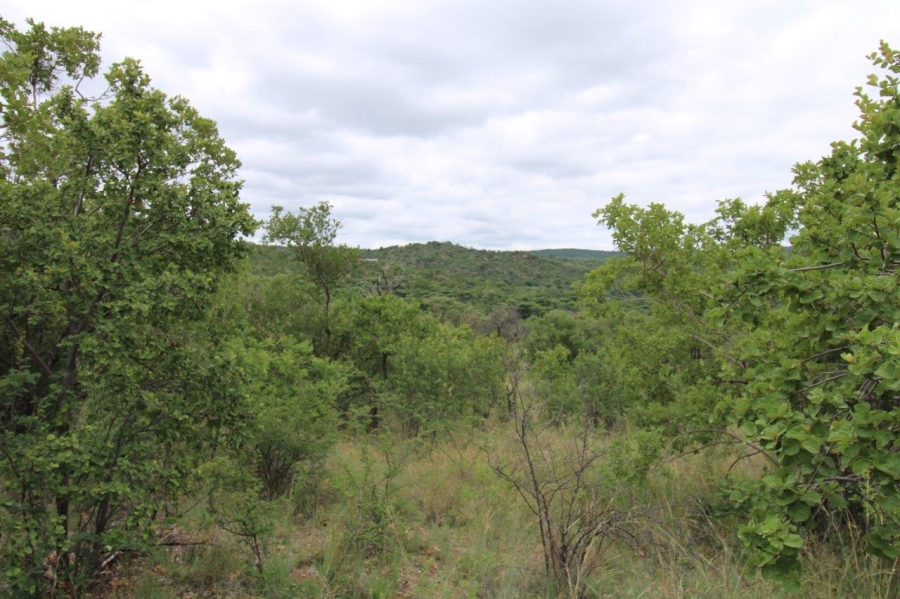 Commercial Property for Sale in Zwartkloof Private Game Reserve Limpopo
