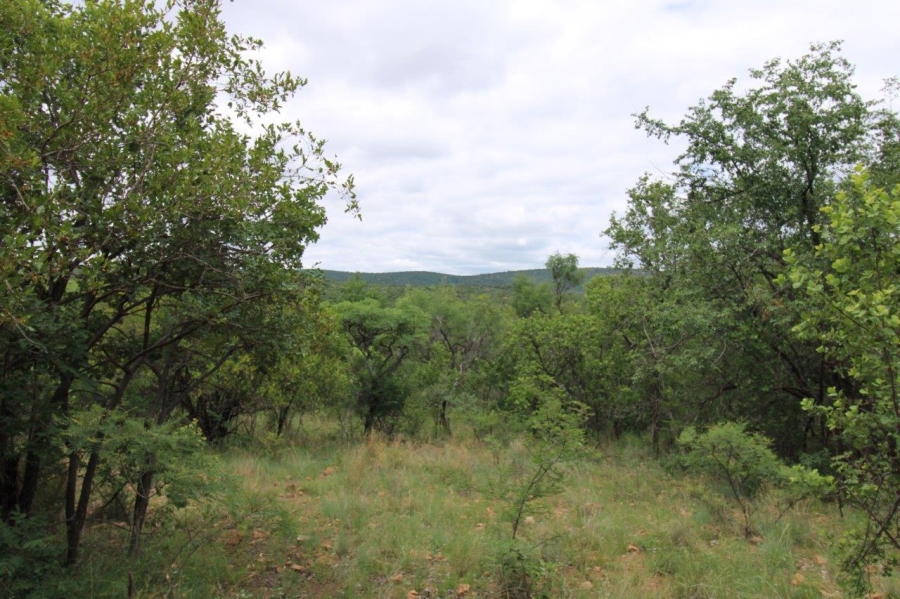 Commercial Property for Sale in Zwartkloof Private Game Reserve Limpopo