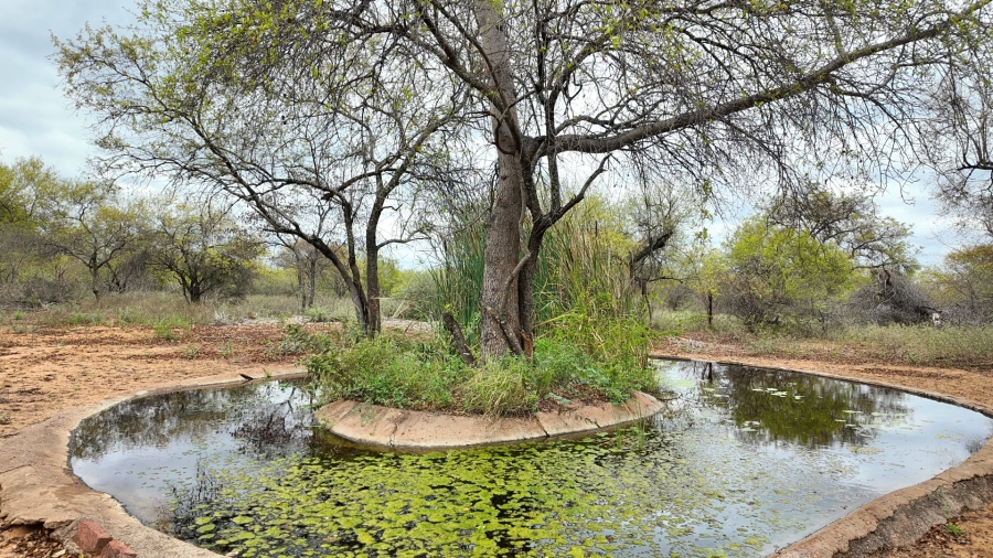 Commercial Property for Sale in Lephalale Limpopo