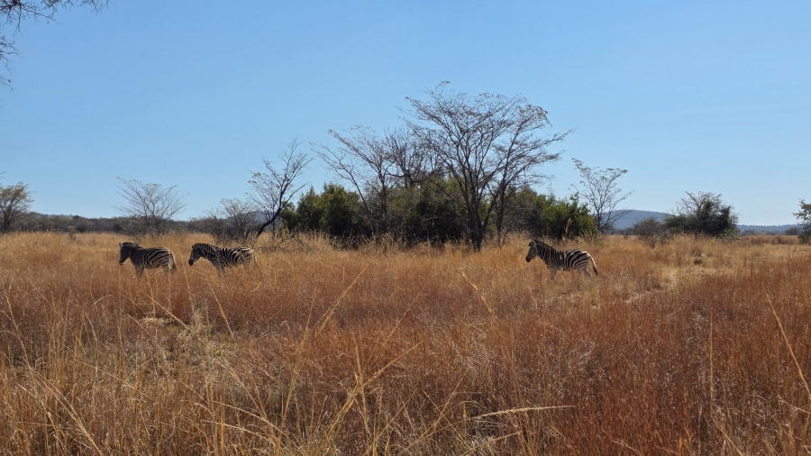 3 Bedroom Property for Sale in Mabula Private Game Lodge Limpopo