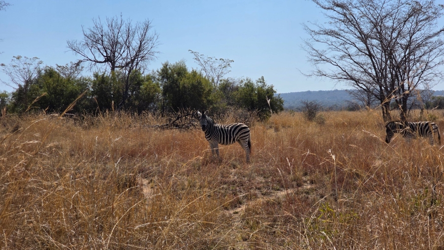 3 Bedroom Property for Sale in Mabula Private Game Lodge Limpopo