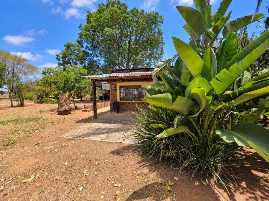 To Let  Bedroom Property for Rent in Kalkfontein A H Limpopo