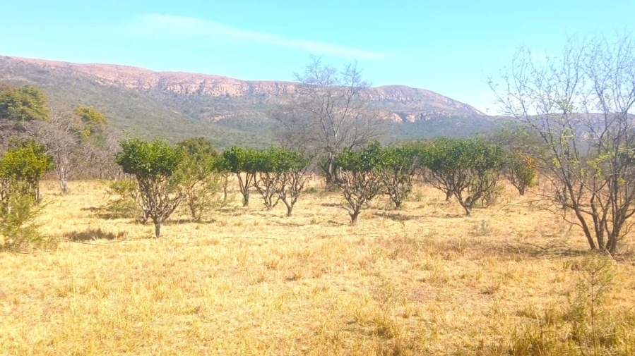 3 Bedroom Property for Sale in Modimolle Limpopo