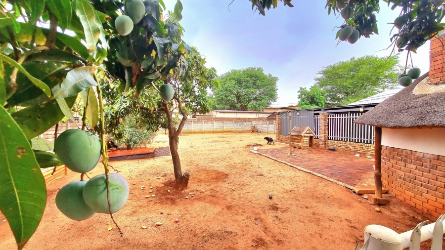 4 Bedroom Property for Sale in Impala Park Limpopo