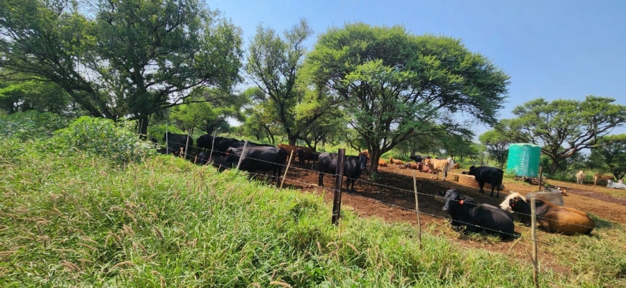 18 Bedroom Property for Sale in Northam Limpopo