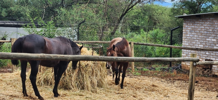 18 Bedroom Property for Sale in Northam Limpopo