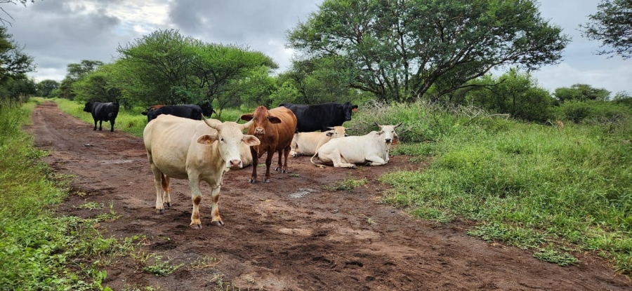 18 Bedroom Property for Sale in Northam Limpopo