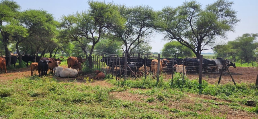 18 Bedroom Property for Sale in Northam Limpopo