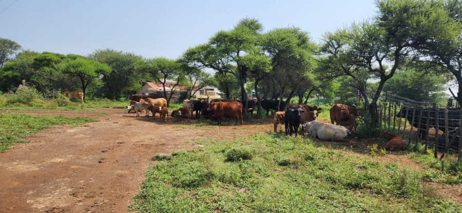 18 Bedroom Property for Sale in Northam Limpopo