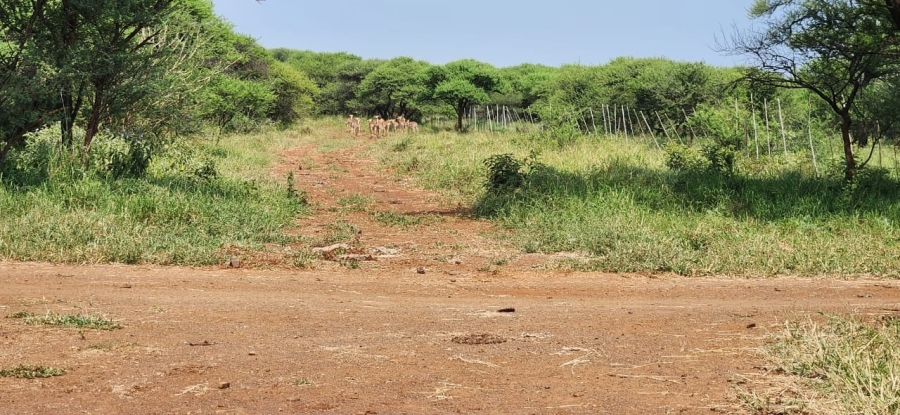 18 Bedroom Property for Sale in Northam Limpopo