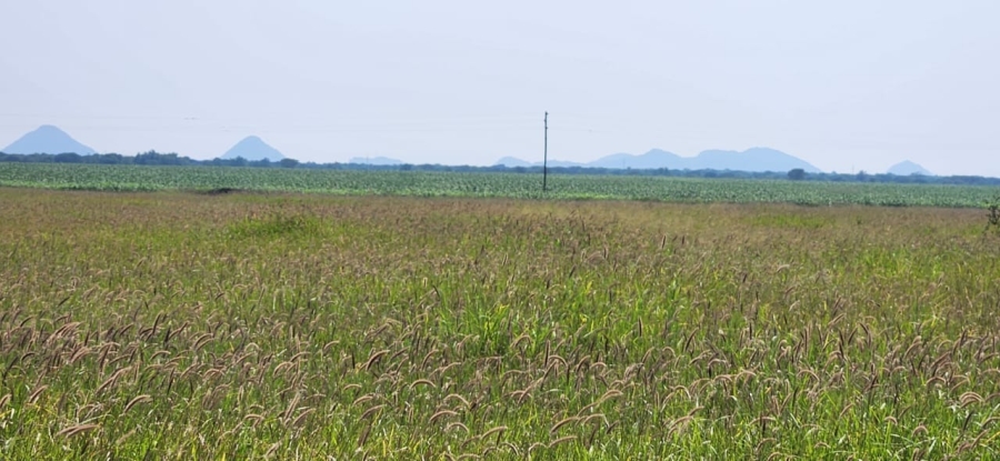 18 Bedroom Property for Sale in Northam Limpopo