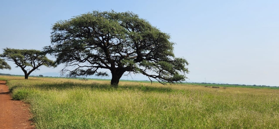 18 Bedroom Property for Sale in Northam Limpopo