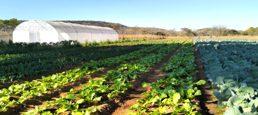 4 Bedroom Property for Sale in Modimolle Limpopo