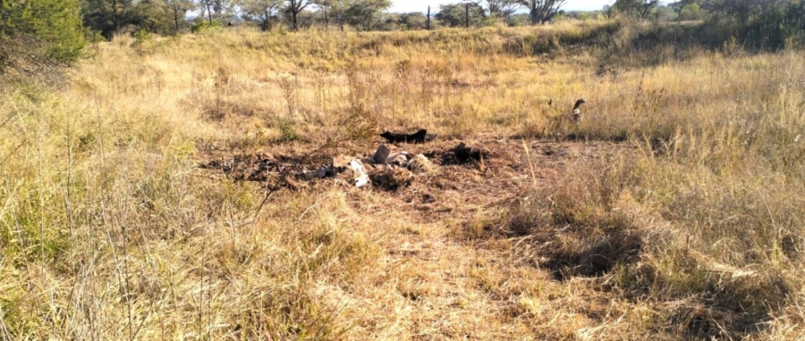 4 Bedroom Property for Sale in Modimolle Limpopo