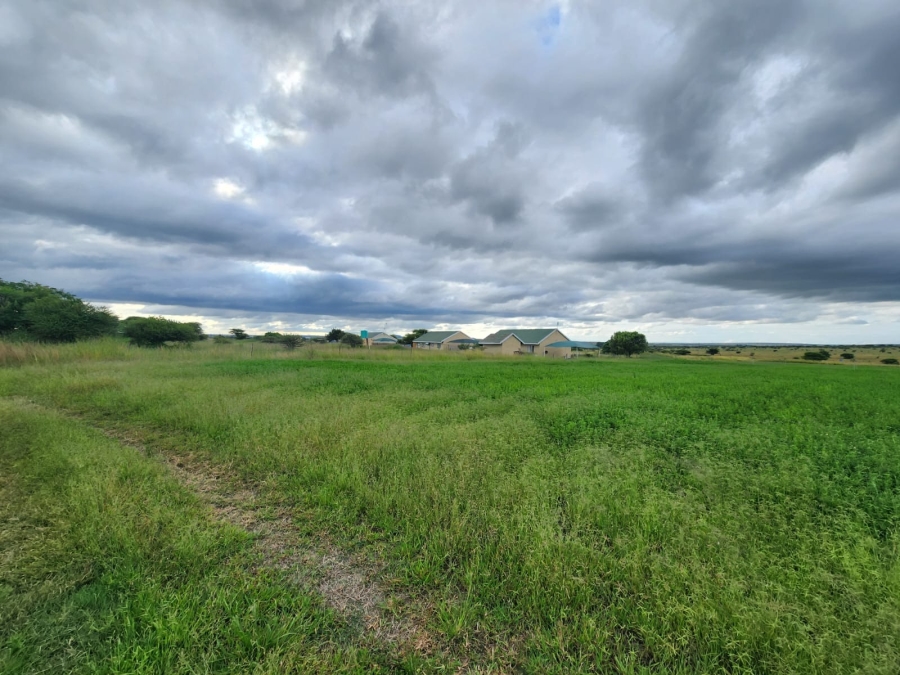 4 Bedroom Property for Sale in Doornbult Limpopo