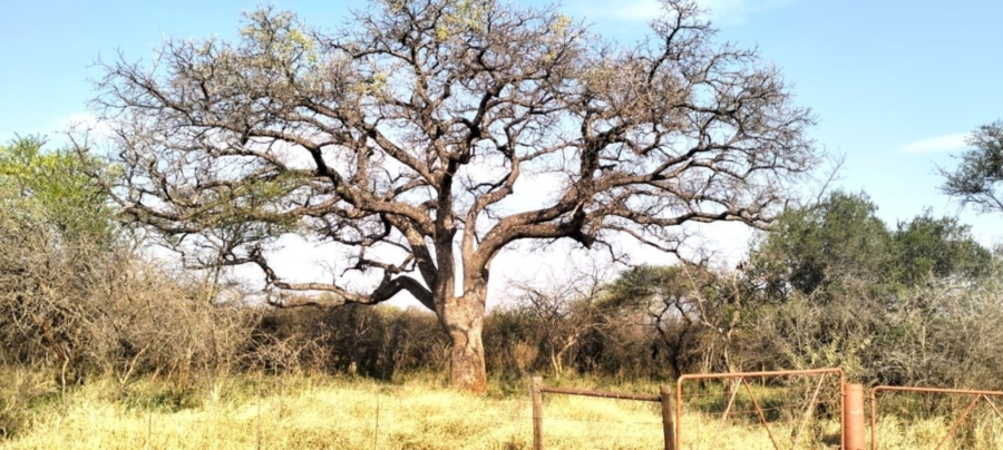 6 Bedroom Property for Sale in Mokopane Rural Limpopo