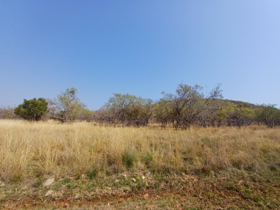 0 Bedroom Property for Sale in Bela Bela Limpopo
