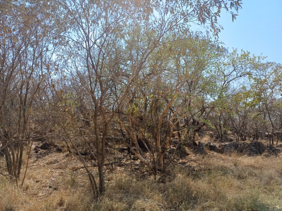 0 Bedroom Property for Sale in Bela Bela Limpopo