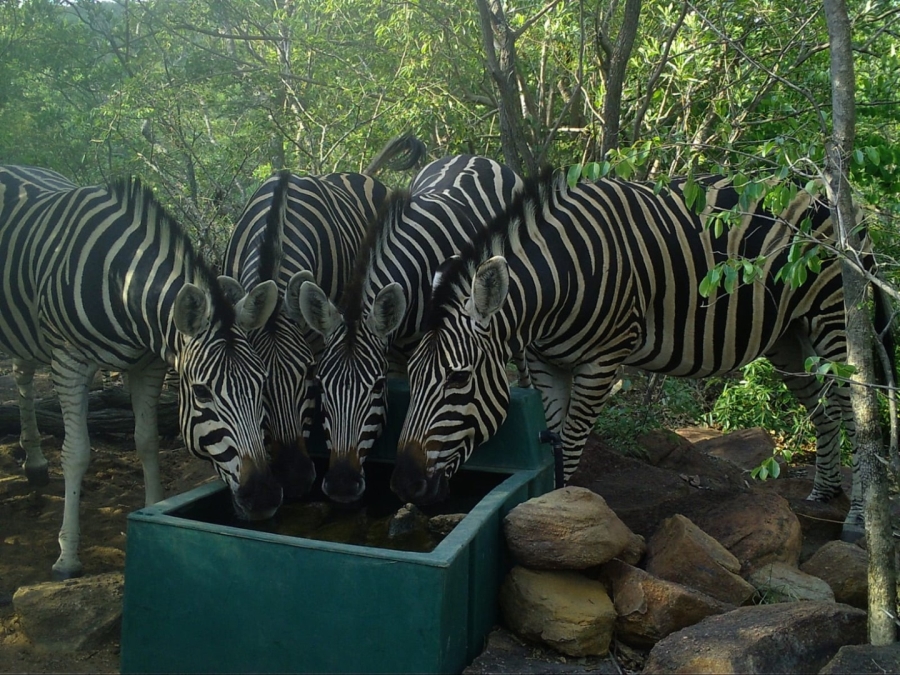 0 Bedroom Property for Sale in Lephalale Limpopo